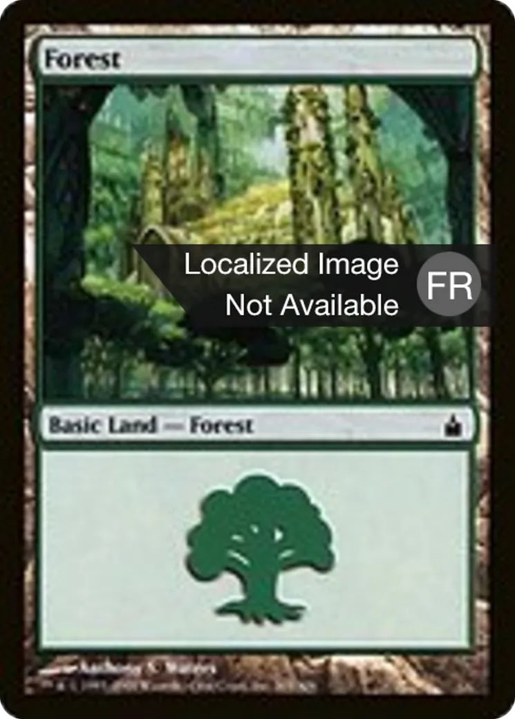 Forêt — Ravnica: City of Guilds — Magic: The Gathering