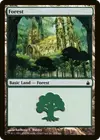 Product image for Forest