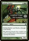 Product image for Araignée goliath
