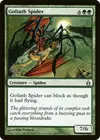 Product image for Goliath Spider