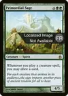 Product image for Sage primordial