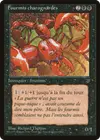 Product image for Carrion Ants