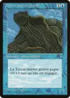 Product image for Tortue marine géante