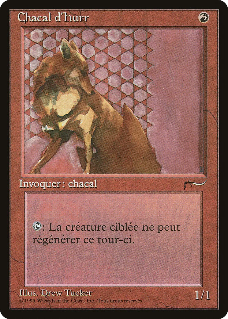 Chacal d'Hurr — Renaissance — Magic: The Gathering