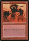 Product image for Immolation