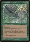 Product image for Land Leeches
