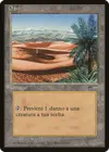 Product image for Oasis