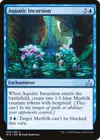 Product image for Aquatic Incursion