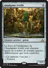 Product image for Amalgame éveillé