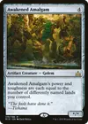 Product image for Awakened Amalgam