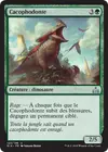 Product image for Cacophodonte