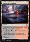 Product image for Landes de cendres