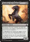 Product image for Batailleur du crépuscule