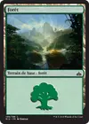 Product image for Forêt