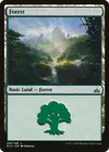 Product image for Forest