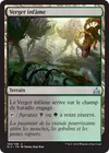 Product image for Verger infâme