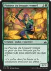 Product image for Pisteuse du bosquet vermeil