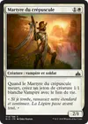 Product image for Martyre du crépuscule