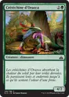 Product image for Crêtéchine d'Orazca
