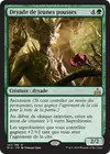Product image for Dryade de jeunes pousses