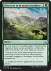 Product image for Migration de la meute grondante