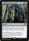 Product image for Awaken the Erstwhile