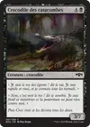 Product image for Crocodile des catacombes