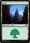 Product image for Forest