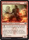 Product image for Gobelin à peau de gravier