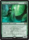 Product image for Druidesse d'incubation