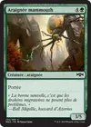 Product image for Araignée mammouth