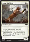 Product image for Caracal rôdeur