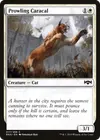 Product image for Prowling Caracal