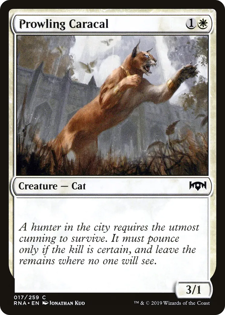 Prowling Caracal — Ravnica Allegiance — Magic: The Gathering