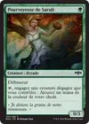 Product image for Pourvoyeuse de Saruli