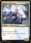 Product image for Senate Guildmage