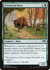 Product image for Territorial Boar