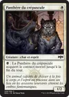 Product image for Panthère du crépuscule