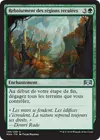 Product image for Reboisement des régions reculées
