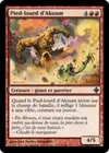 Product image for Pied-lourd d'Akoum