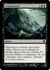Product image for Corpcouvoir