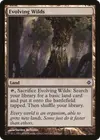 Product image for Evolving Wilds