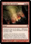 Product image for Conduit de crevasse