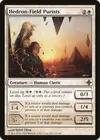 Product image for Hedron-Field Purists