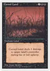 Product image for Cursed Land