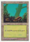 Product image for Forest