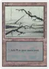 Product image for Swamp