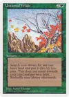 Product image for Untamed Wilds