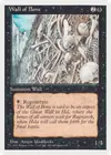 Product image for Wall of Bone