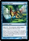 Product image for Destrier aquus